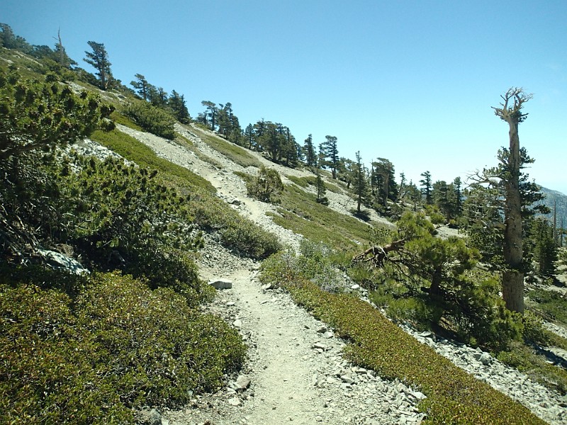 2014 Mt Baldy Cali 098.JPG - Summit Mt San Antonio (Mt Baldy) California